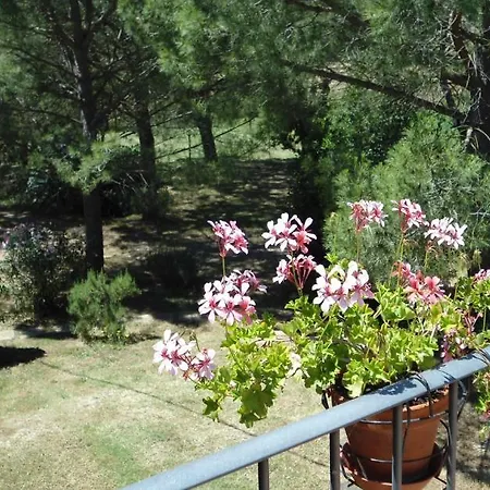 Casetta Francini Lägenhetshotell Civitella Marittima